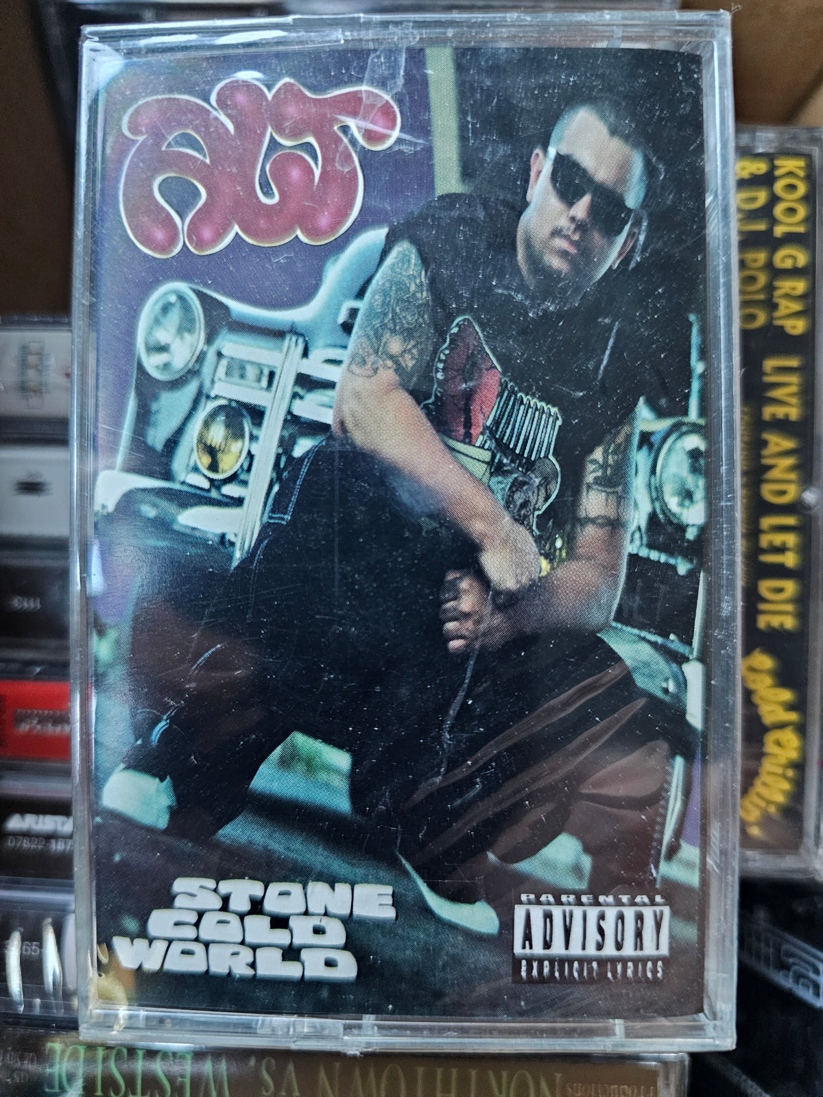 A.L.T. Stone Cold World cassette front showing the individual copy