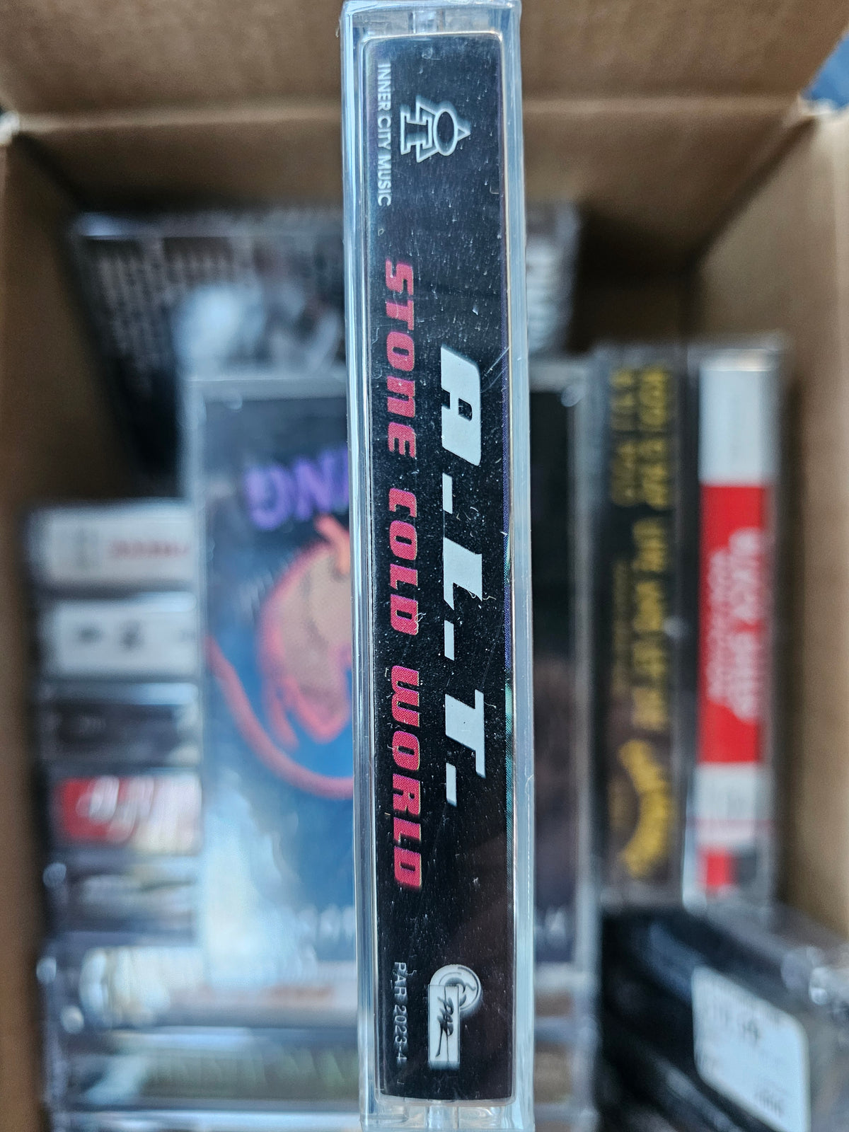 A.L.T. Stone Cold World cassette spine with PAR 2023-4 catalog number