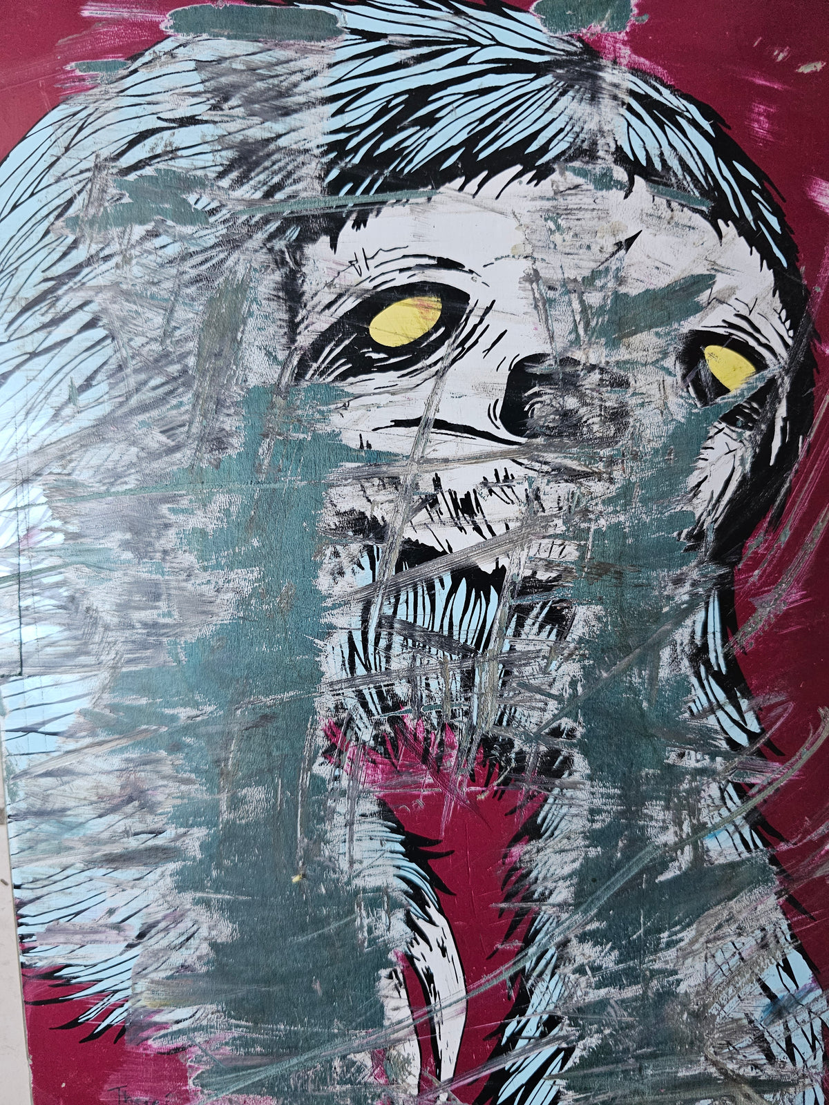 Close-up of heavily scraped black-and-white creature with yellow eyes
